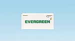 EVERGREEN 20' CONTAINER WHITE SMOOTH SIDES