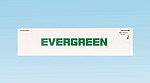 EVERGREEN 40' CONTAINER WHITE SMOOTH SIDES