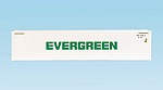 EVERGREEN 45' CONTAINER WHITE SMOOTH SIDES