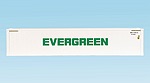 EVERGREEN 48' CONTAINER WHITE SMOOTH SIDES