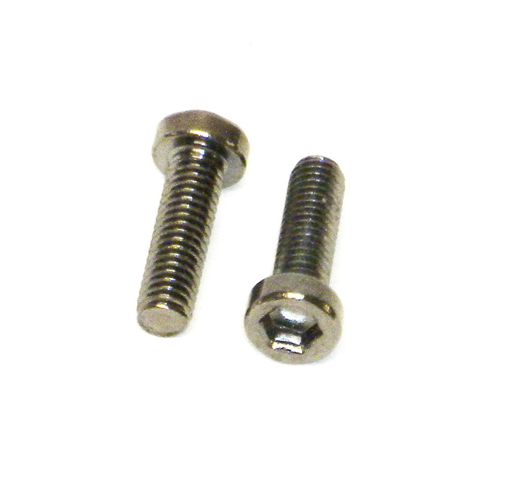 BIG BOY ECCENTRIC SCREWS (2)
