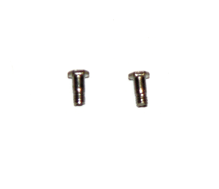 HUDSON VALVE GUIDE SCREWS (2)