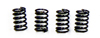 SLIDING DOOR SPRINGS COMBINE/BAGGAGE (4)