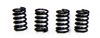 SLIDING DOOR SPRINGS COMBINE/BAGGAGE (4)