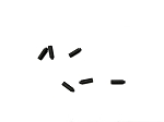 DOCKSIDER CARBON BRUSHES (6)