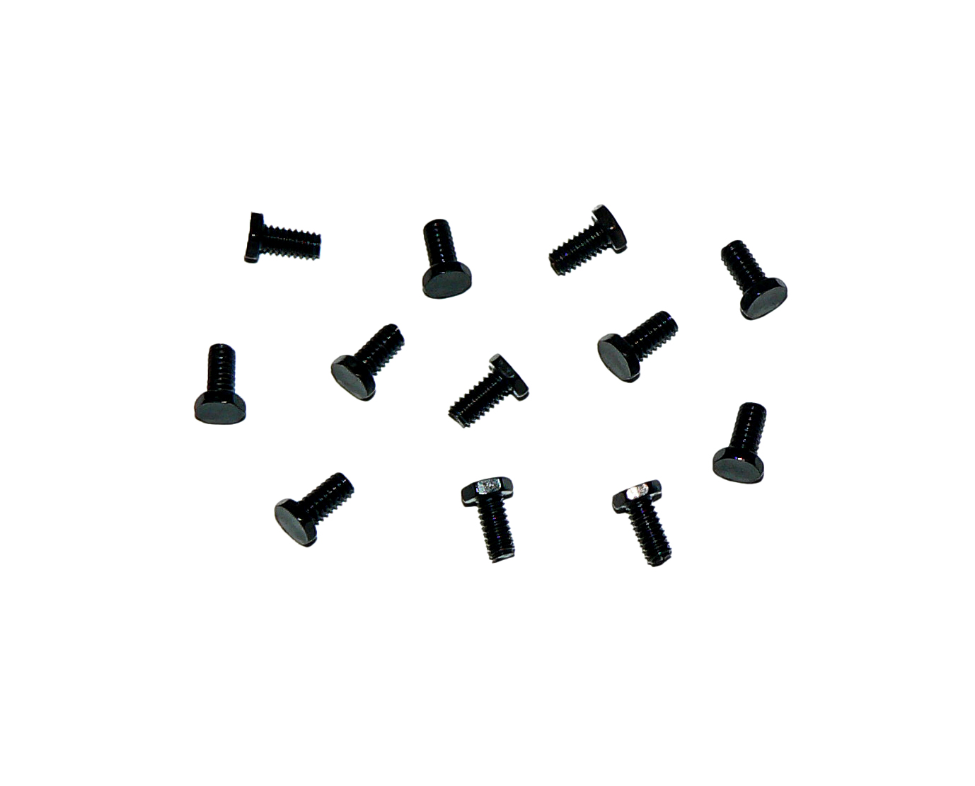 HUDSON TENDER BOTTOM PLATE SCREWS (12)